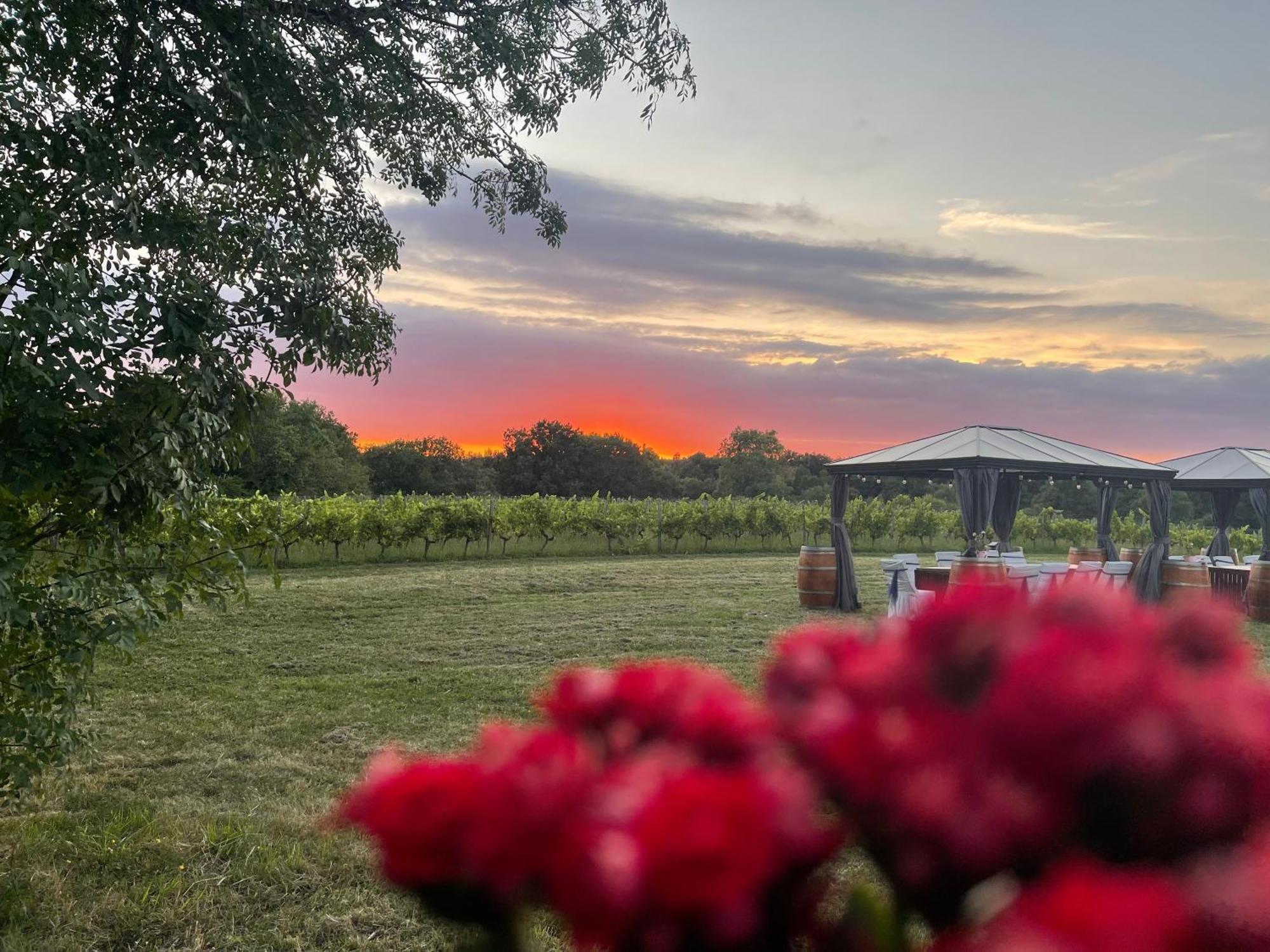 Bordeaux Chateau Lafleur Quinsac  المظهر الخارجي الصورة