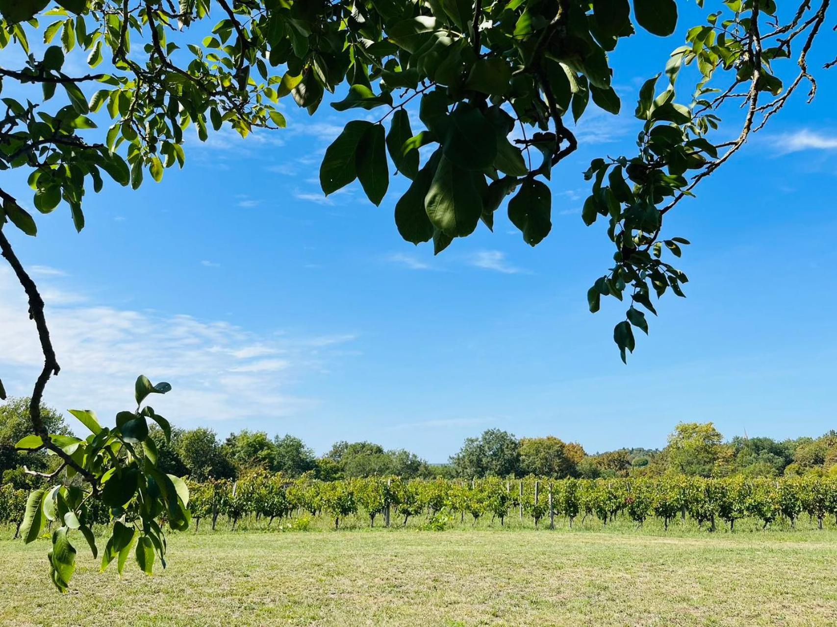 Bordeaux Chateau Lafleur Quinsac  المظهر الخارجي الصورة